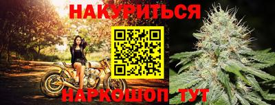 дурь Гатчина