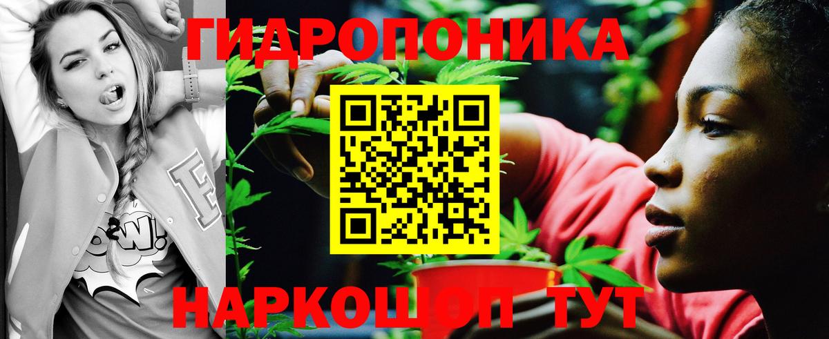Бошки Шишки ГИДРОПОН  Вход с VPN  Шишки марихуана ГИДРОПОН  Иркутск  Конопля планчик 
